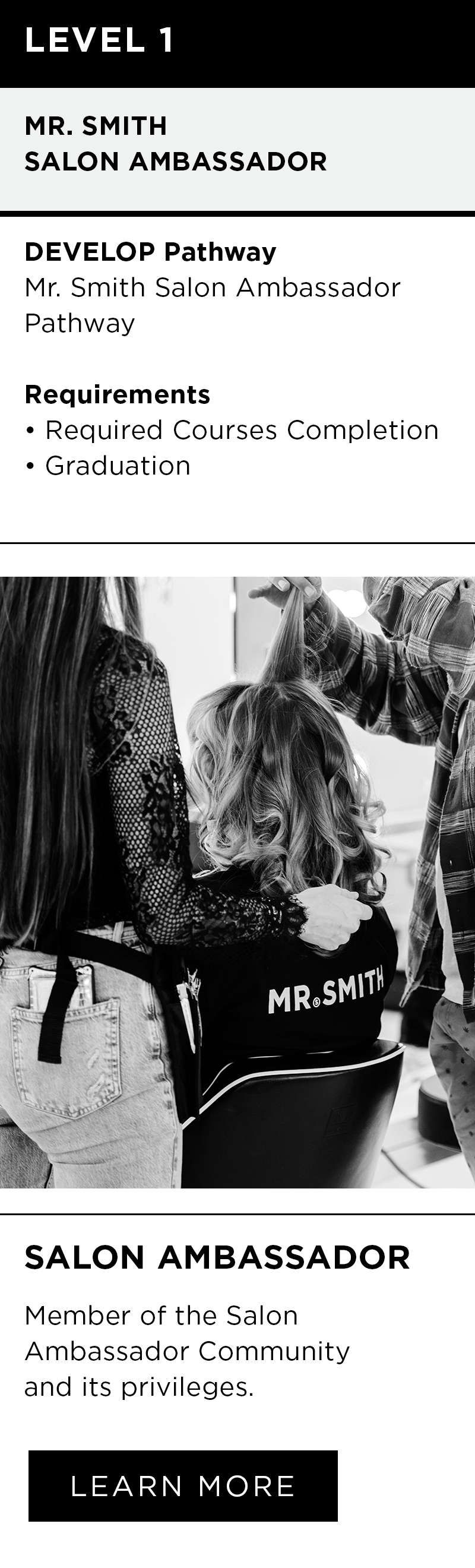 Mr Smith Salon ambassador pathway